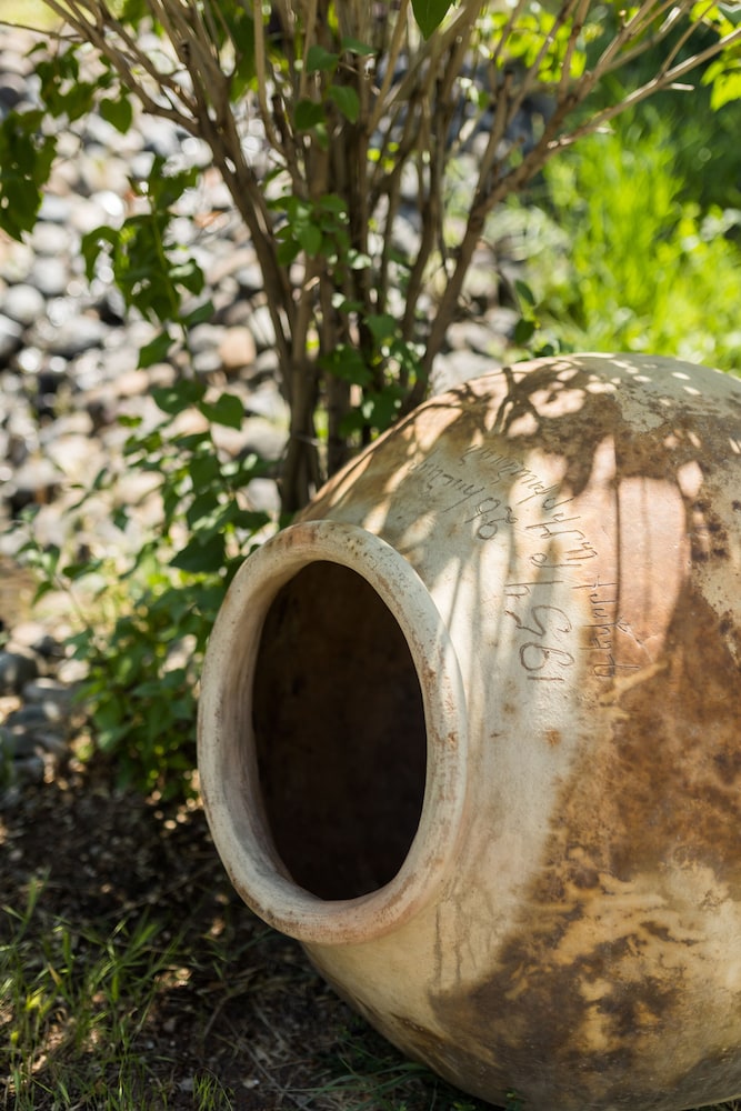 Organic House & Aquapark