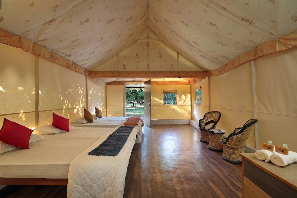 Camp Dilly