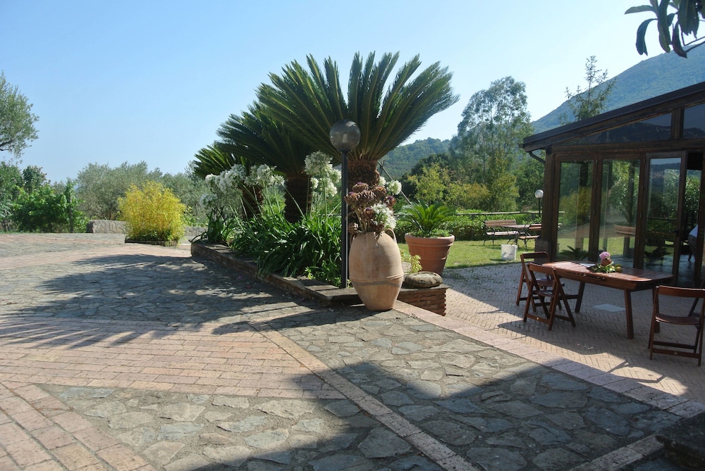Photo 10