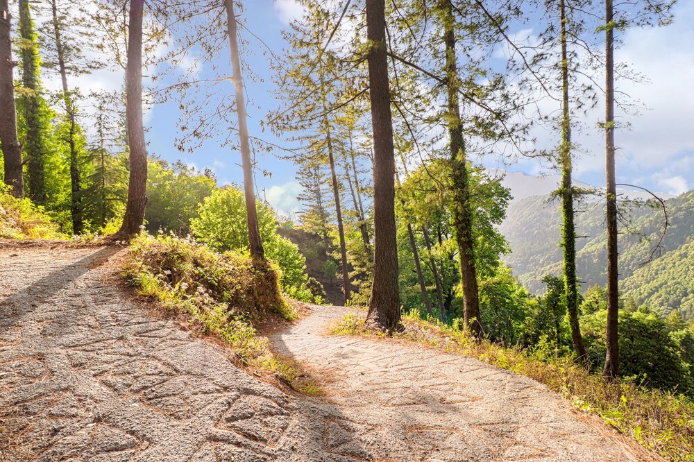 Nainital Retreat 2 Beds - by Dumnu Homes view 3
