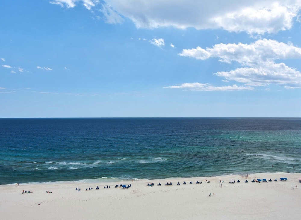 Navarre Towers 1205