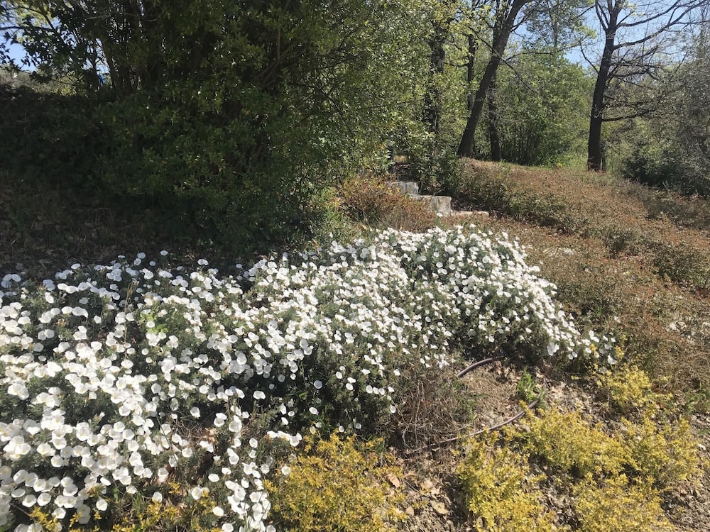 Photo 31