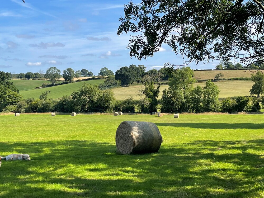 Darwen