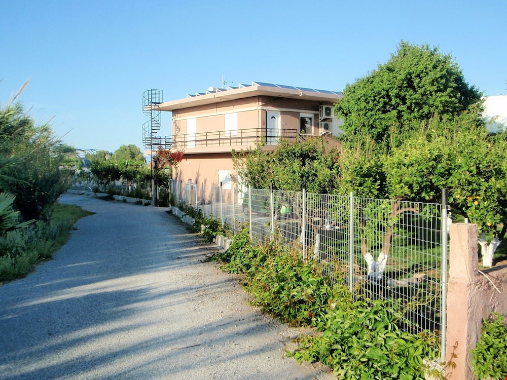 Photo 6