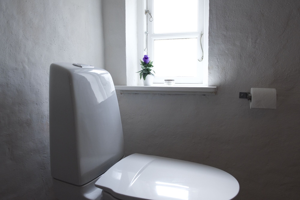 Odense Vacations - Lotus BB  Spa - Indre Ro Yoga - Property Image 9