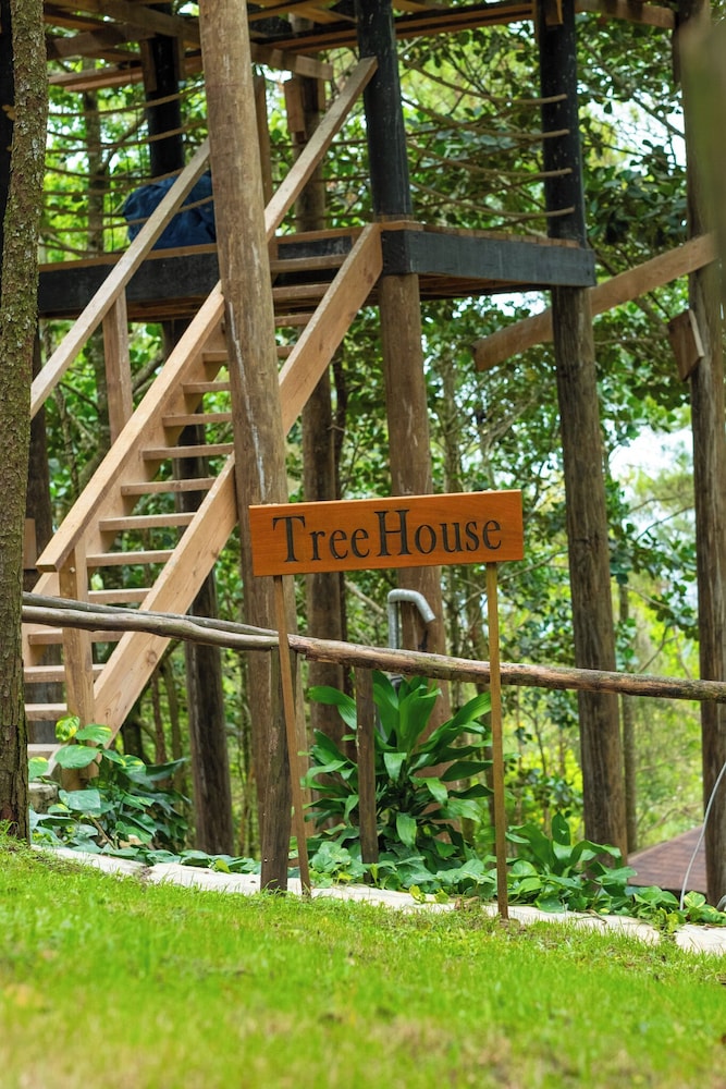 The Grand Forest Jarabacoa
