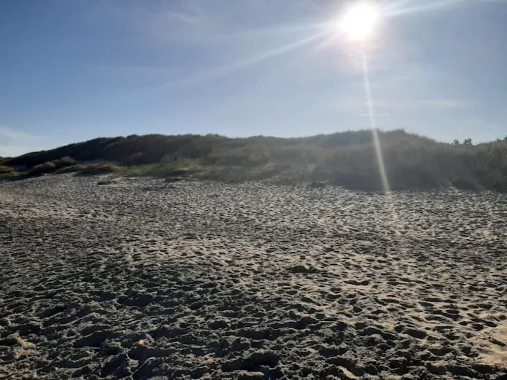 4 Star Holiday Home in Albaek