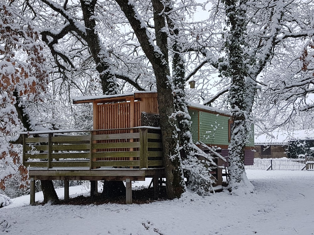 Arbrakabane - Property Image 11