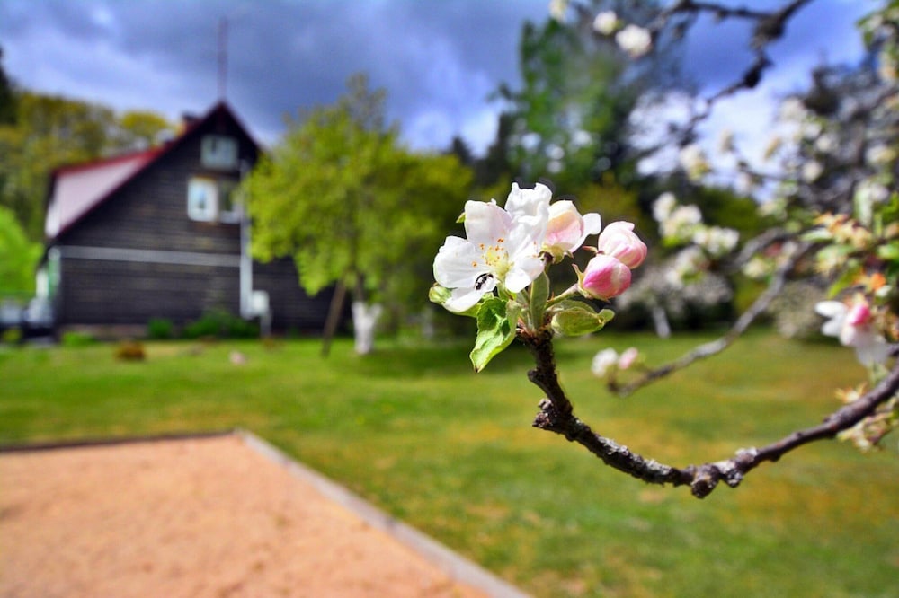 Photo 44