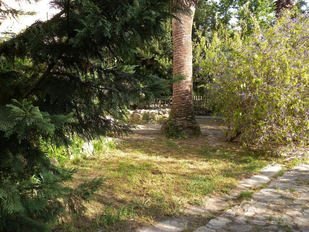 Photo 31