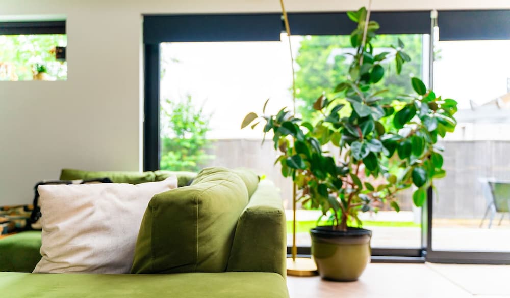 Lecropt House Pet Friendly Stays Inverurie Aberdeenshire