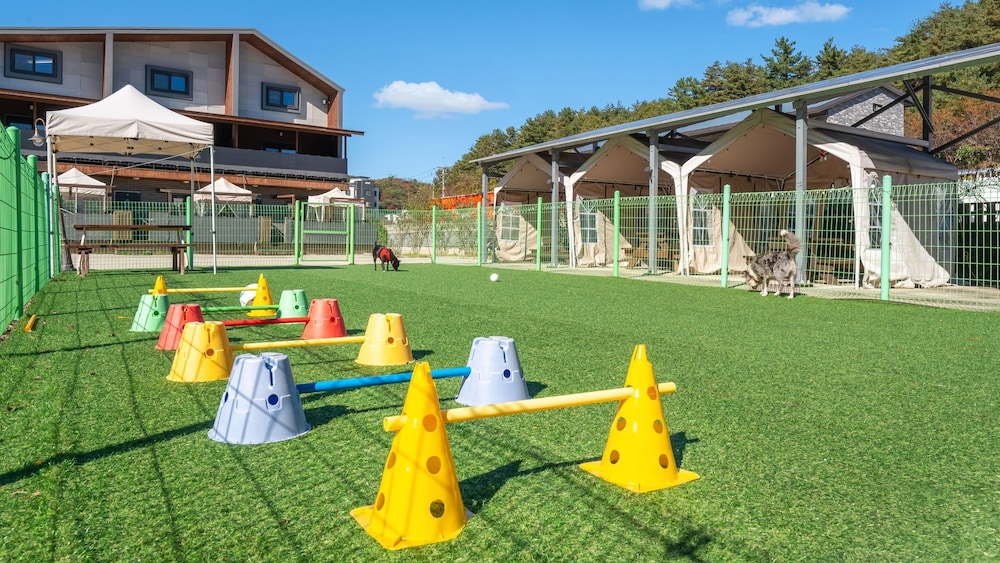 Gangneung Nineone Pet Pension