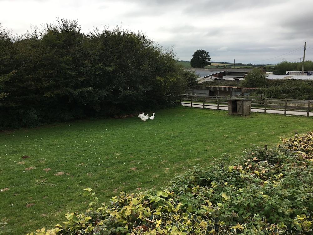Photo 41