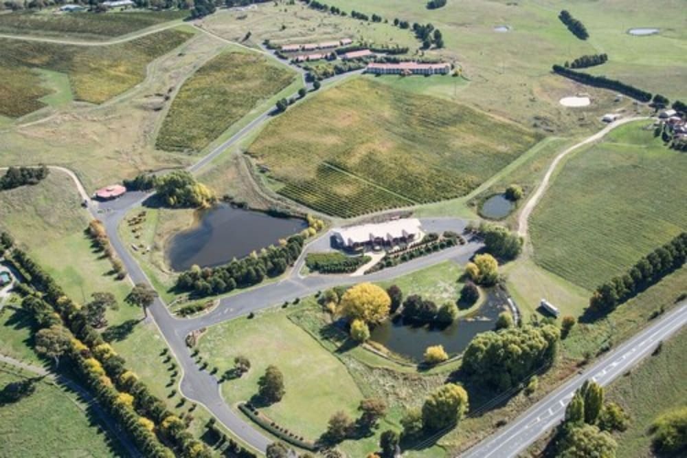 Turners Vineyard