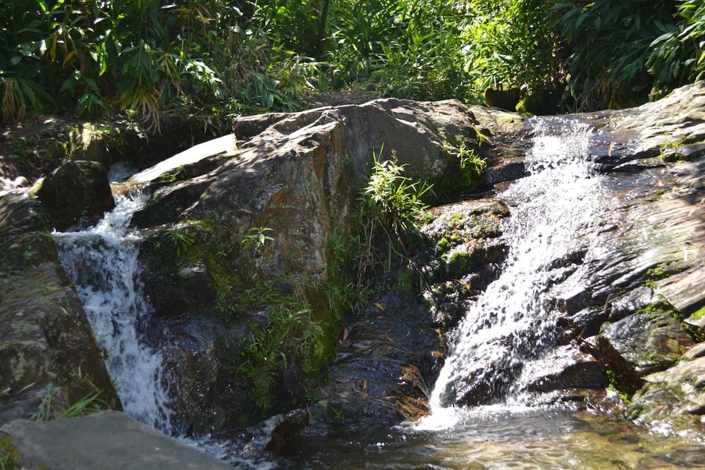 Photo 40