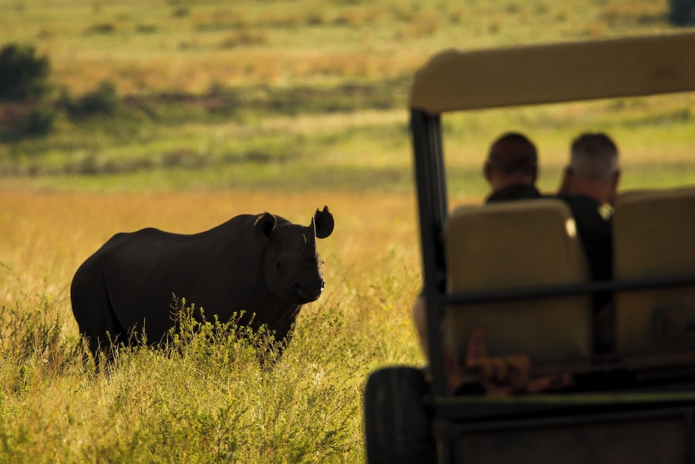 Kololo Game Reserve