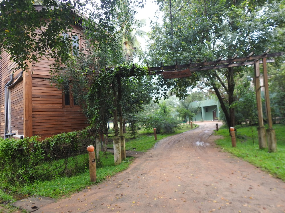 Photo 40