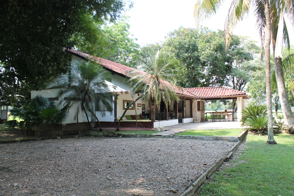 Photo 19