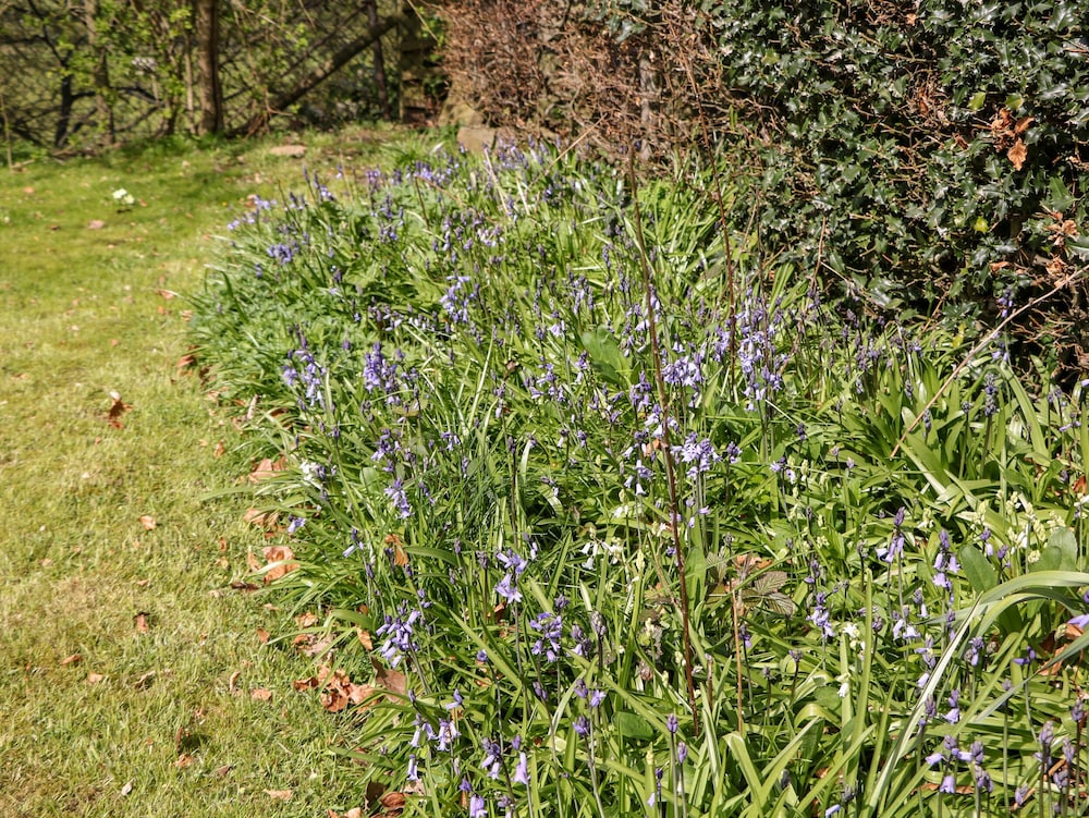 Loose Hill Lea