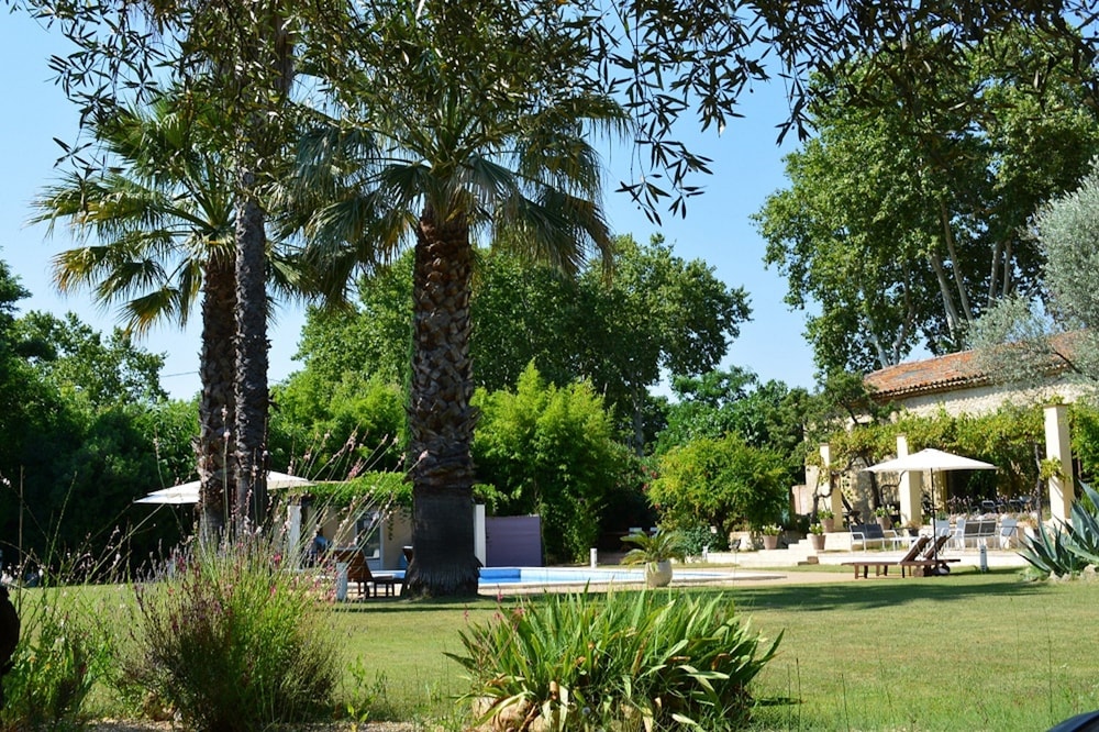 Photo 41