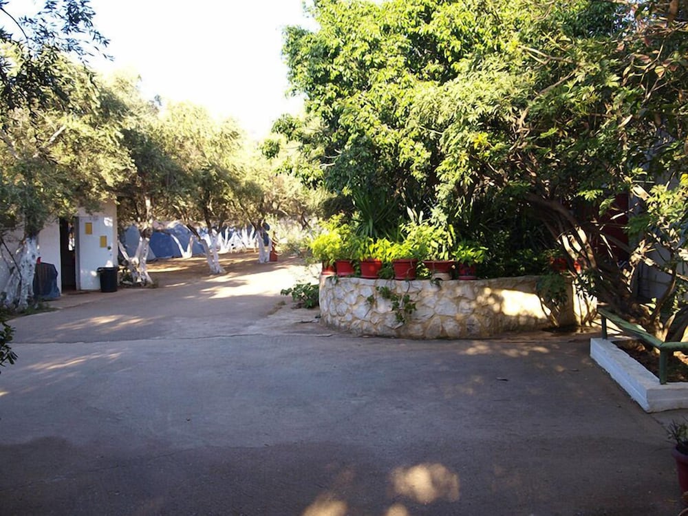 Photo 30