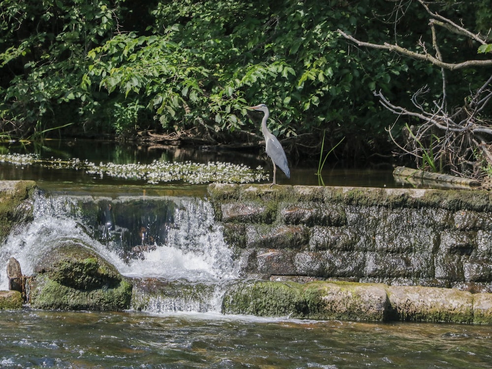 1 Eamont Park