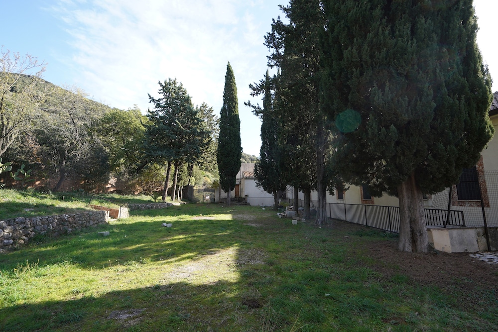 Photo 46