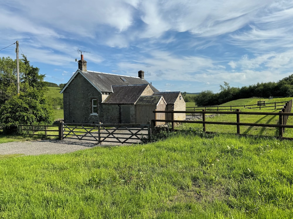 Netherraw