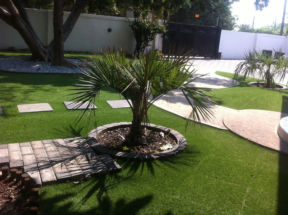 Cosy Palms Guest House