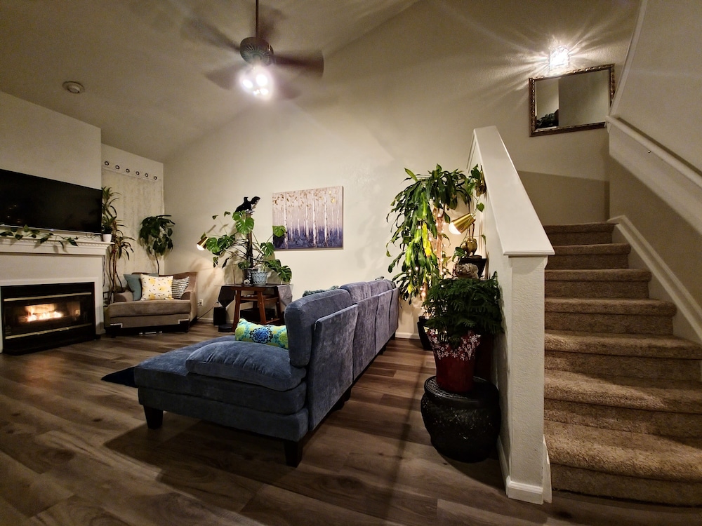 Casa de gato