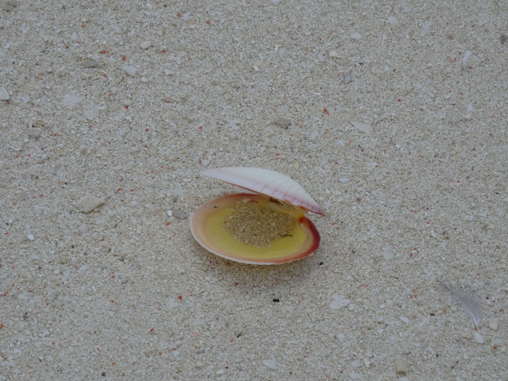 Photo 47
