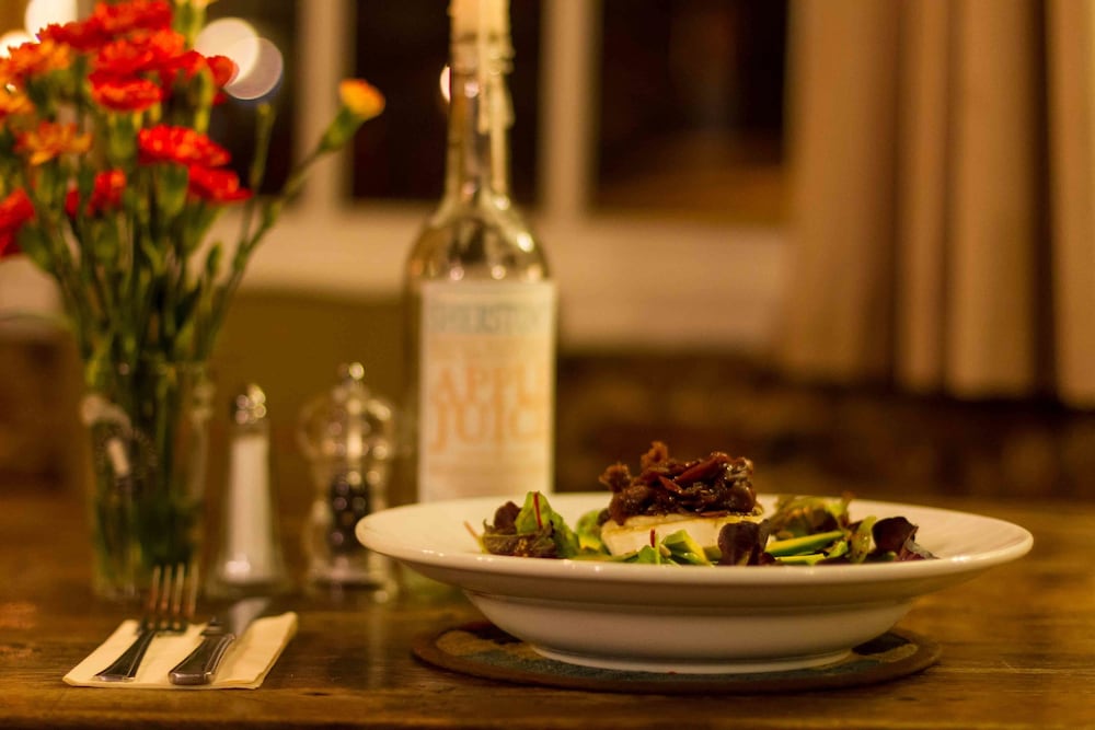 The Holford Arms - Campground