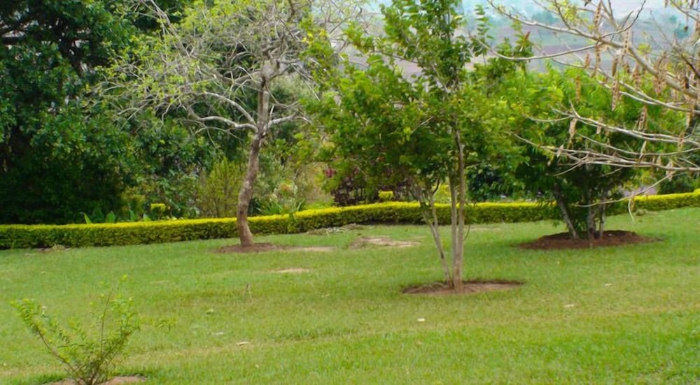 Palm Valley Lodge