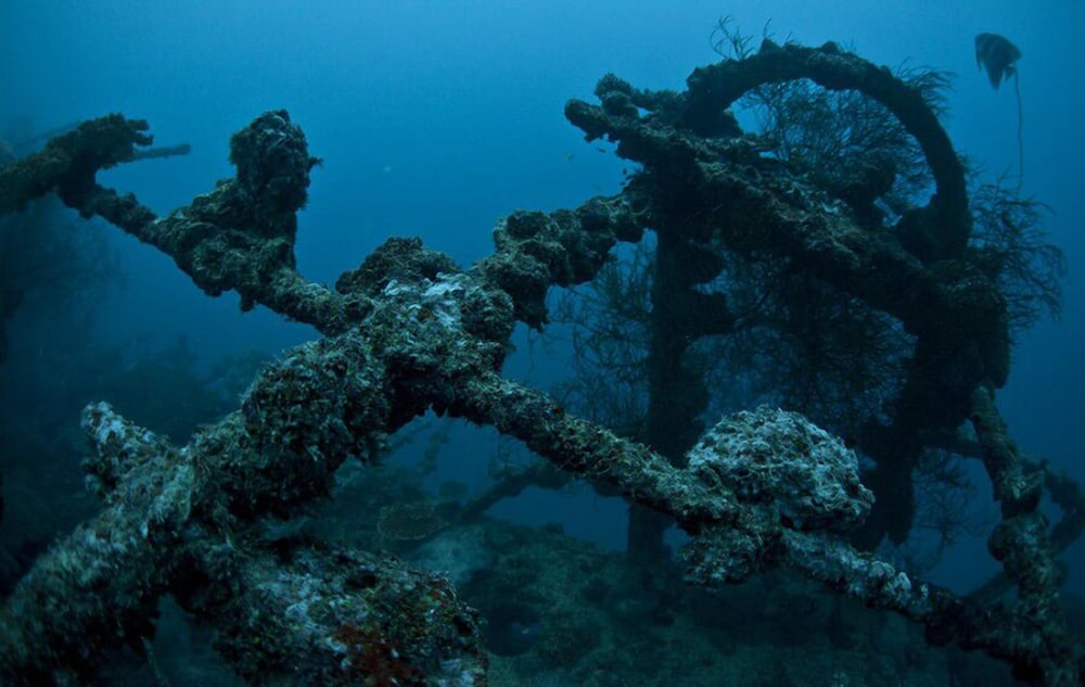 Lagoon Lodge photo 2