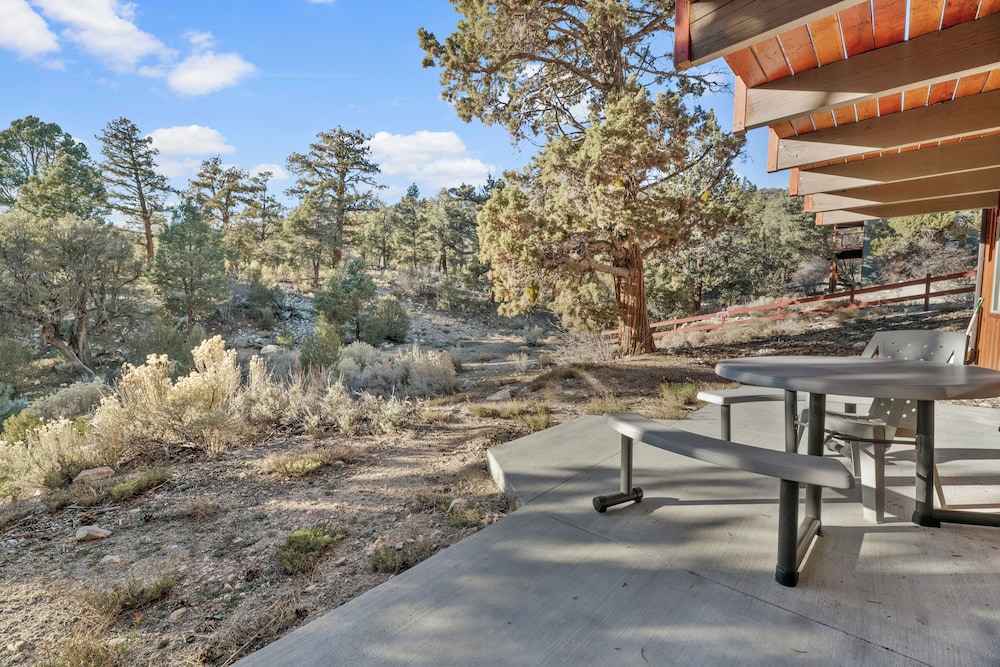 Forest Edge Retreat