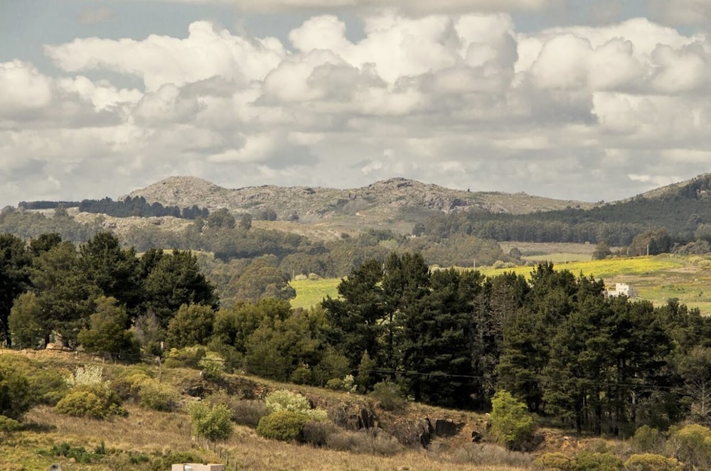 Ruca Haian. Cabañas Spa & Restó. Tandil