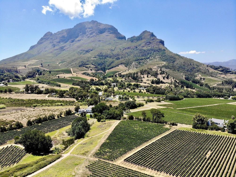Le Pommier Wine Estate