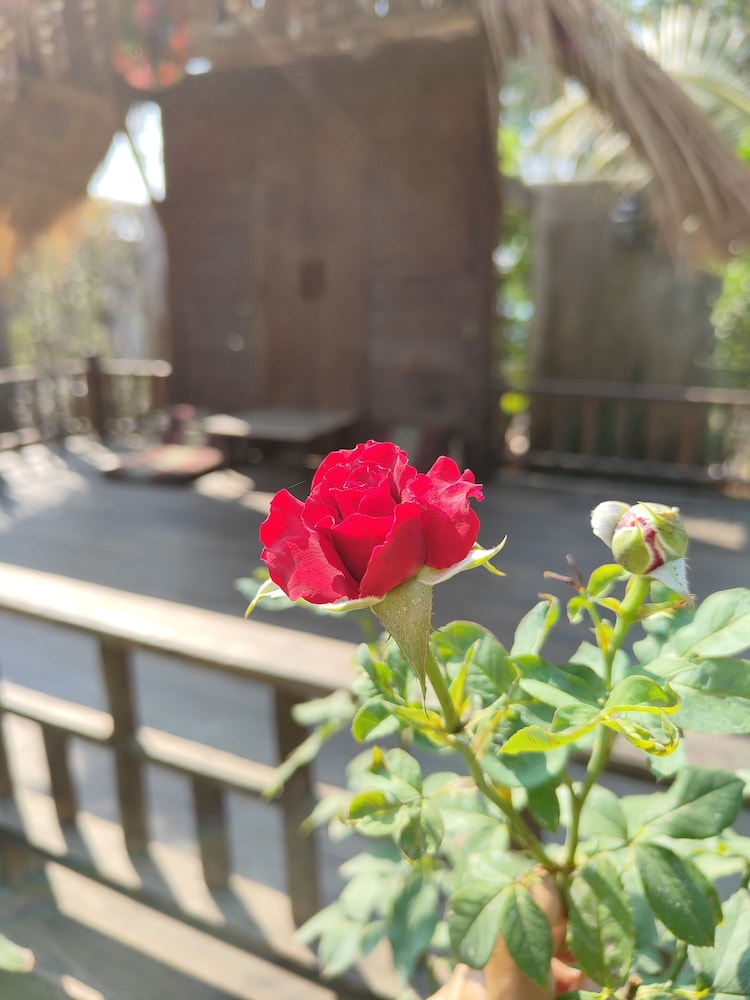 Smilingface Guesthouse