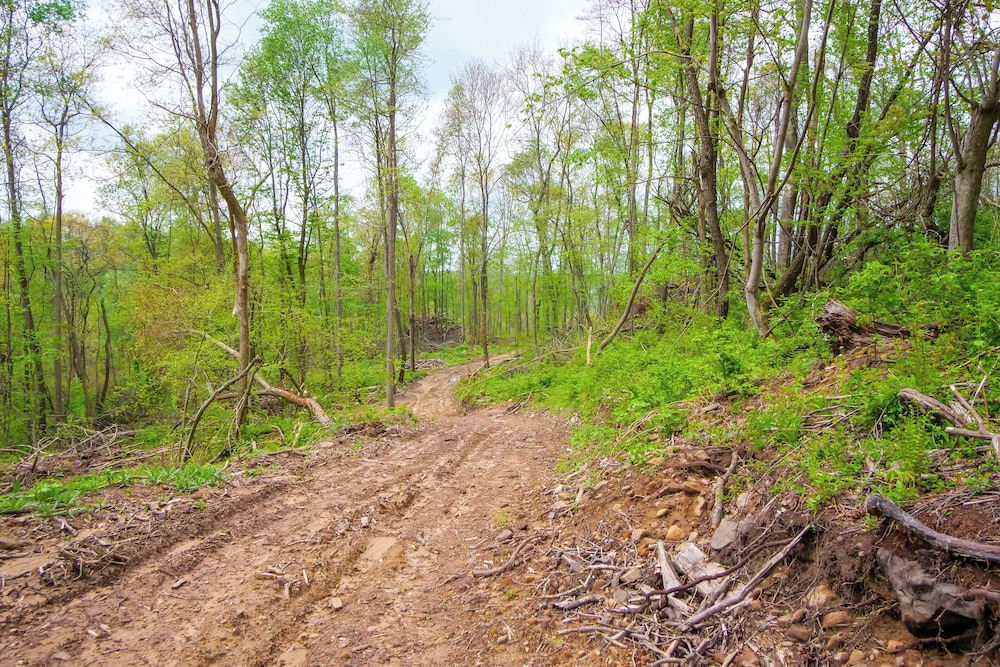 Cabin w/ Trail Access to Mohican River