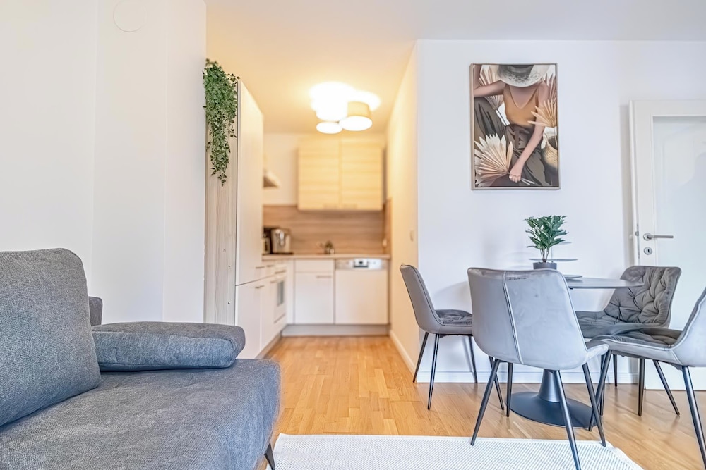 Nice 1BR 1LR Apartment City Center