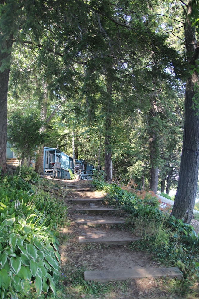 Black Lake Cabins