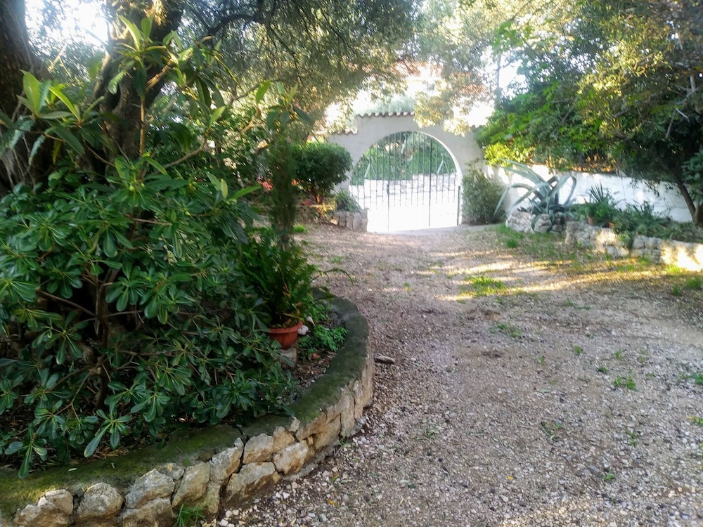 Photo 15