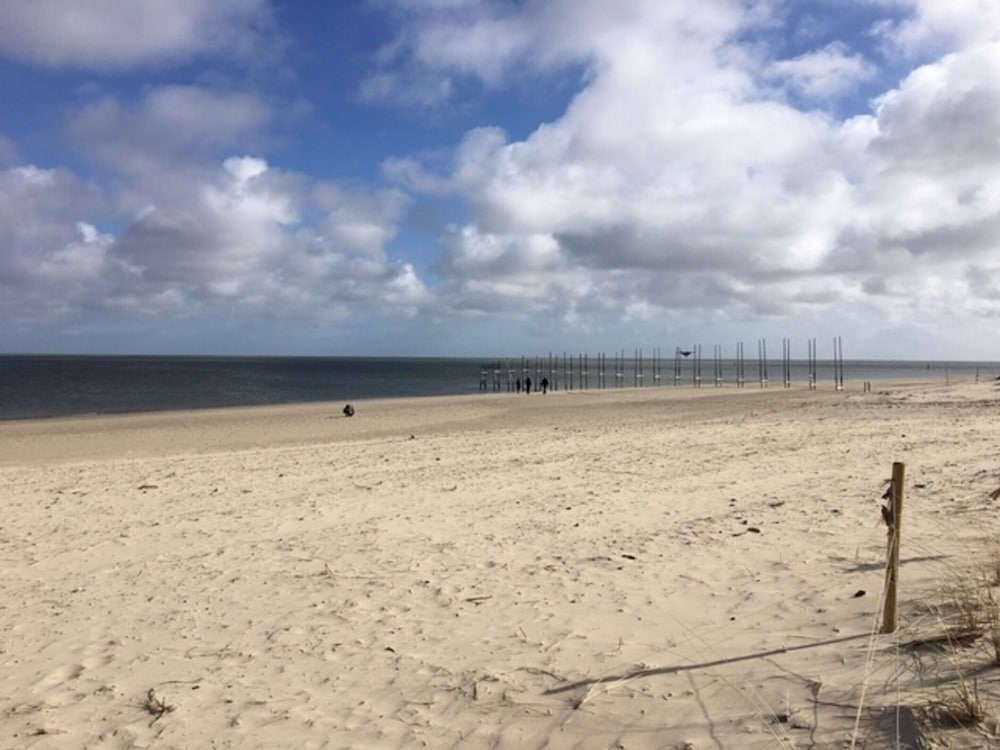 Pet-friendly Texel Escape view 3