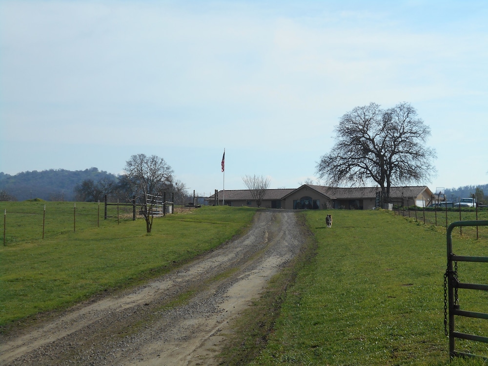 The Branded Calf B&B