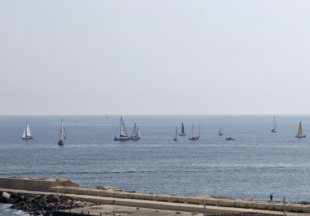 Photo 42