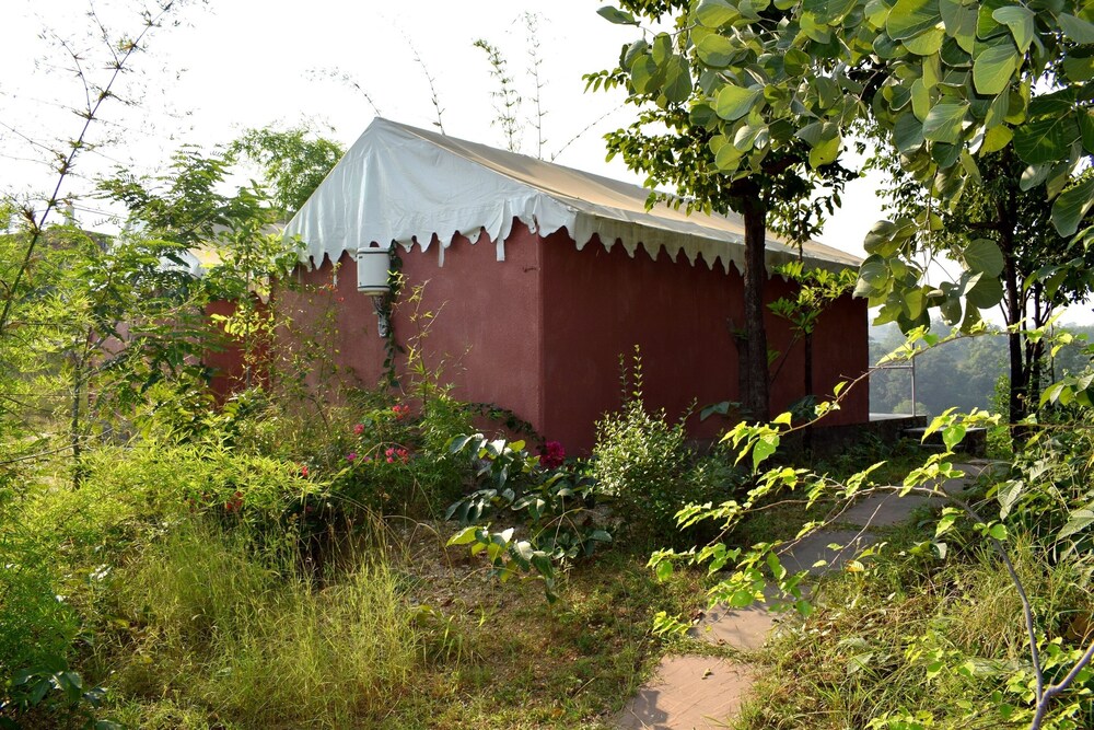 Photo 45