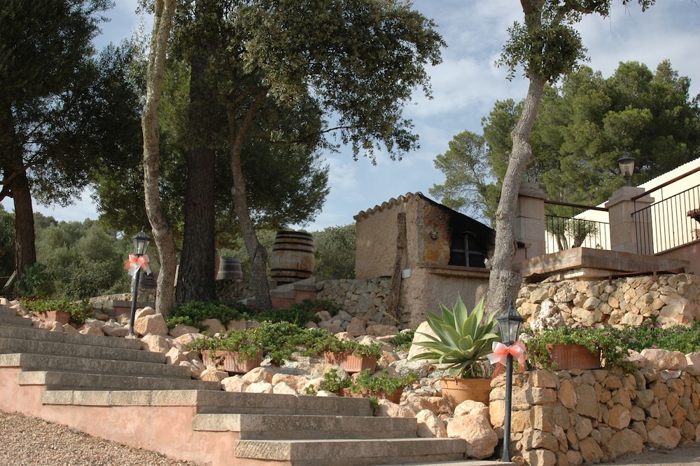 Photo 31
