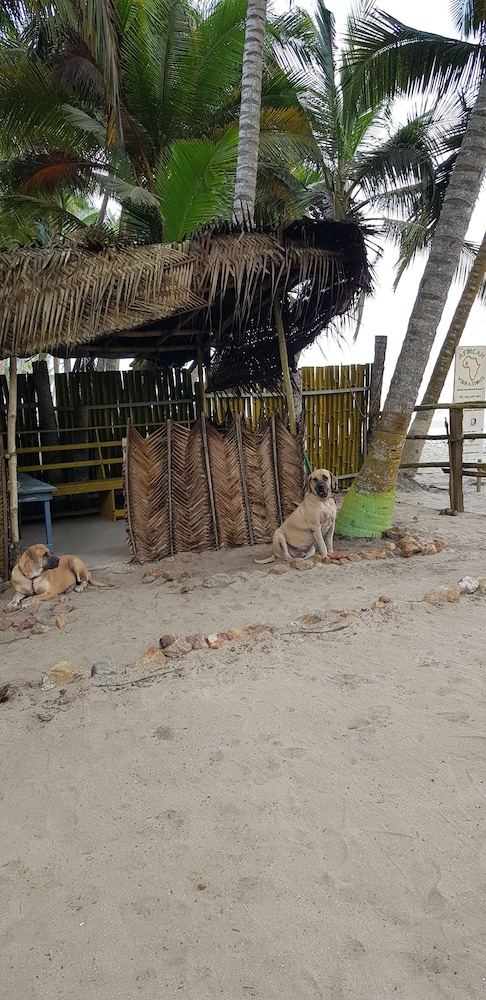 African Vibrations Beach Resort view 2