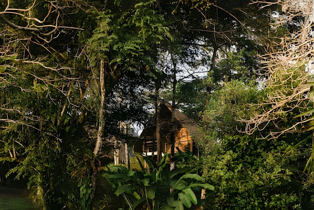 Balsa Nueva Lodge