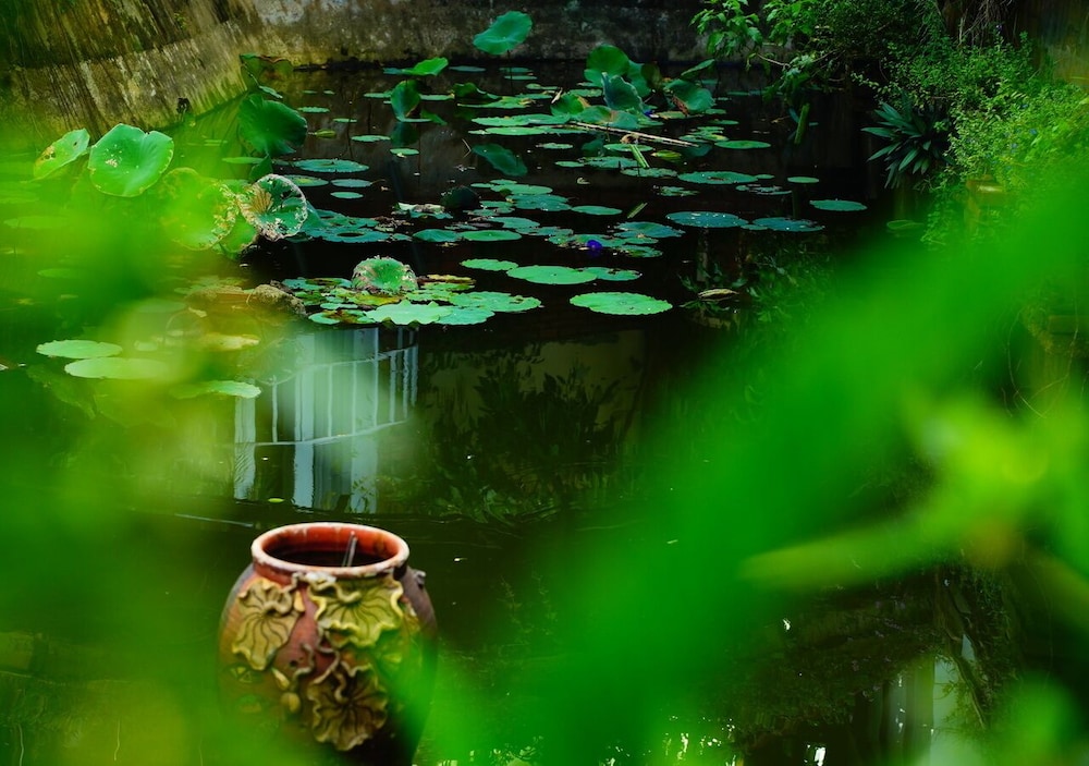 Vuon Thu Do Homestay